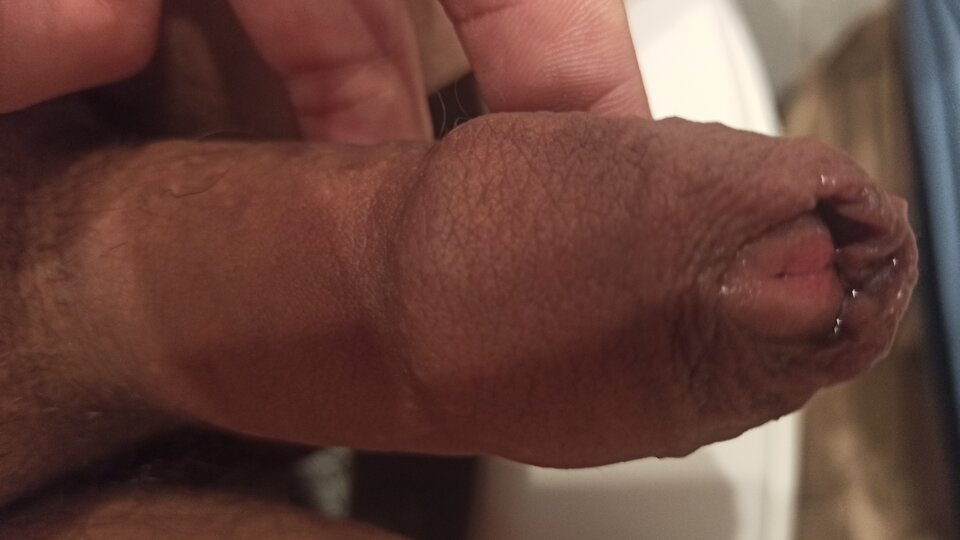 IMG_20210709_065433.jpg - kutasior1987_2