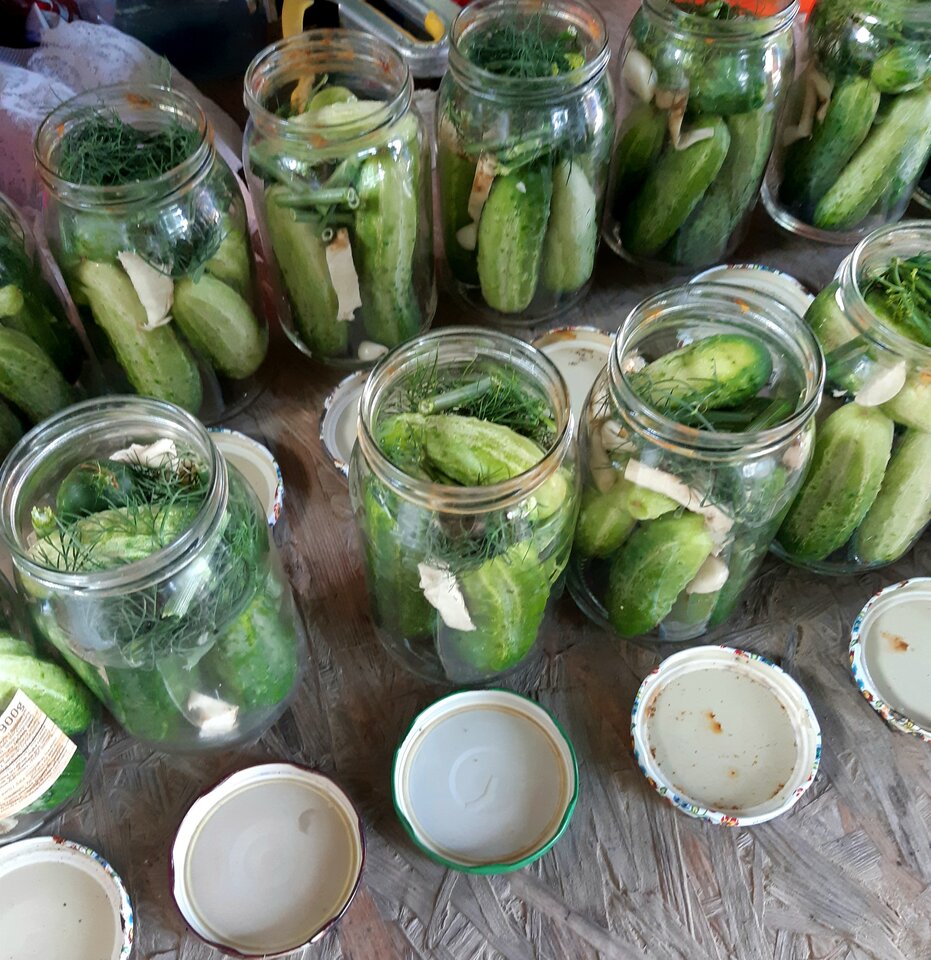 20210709_143717.jpg - KG1977