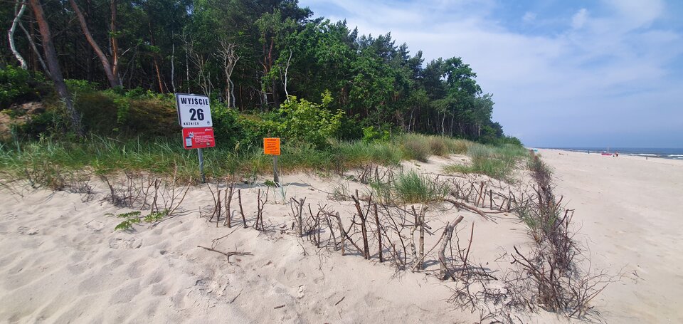 20210709_115601.jpg - RajskiOwoc