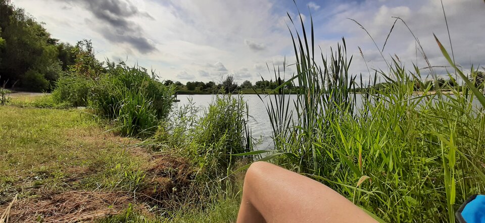 20210710_083444.jpg - BrodatyLobuz