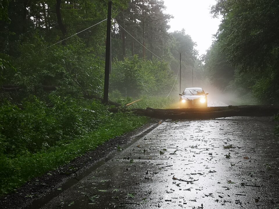 IMG_20210709_153309.jpg - Tomen11