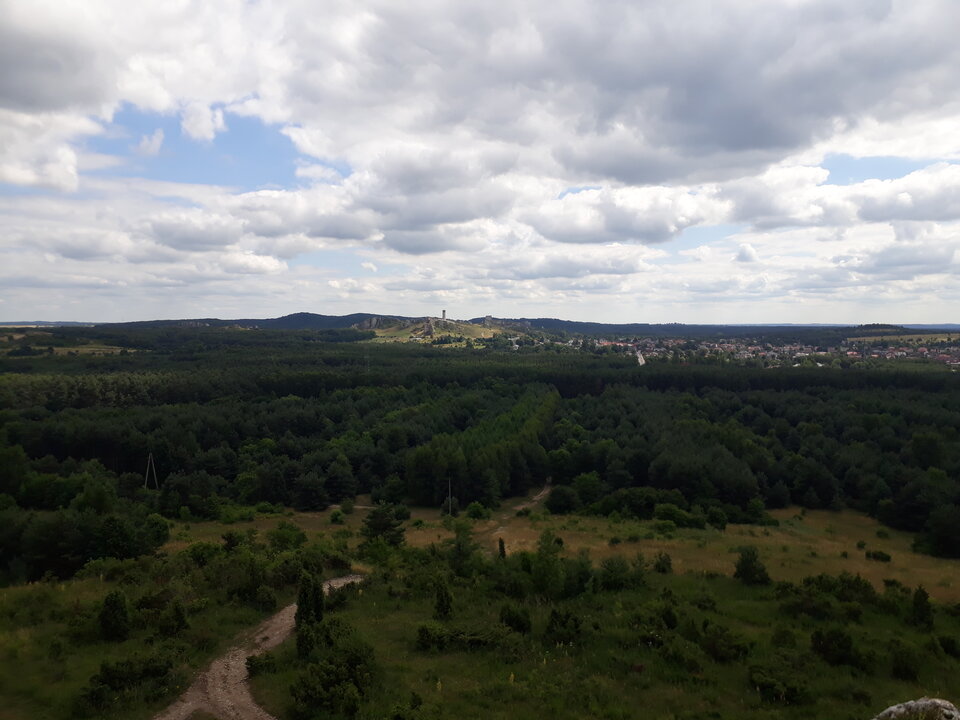 20210710_145958.jpg - montez13