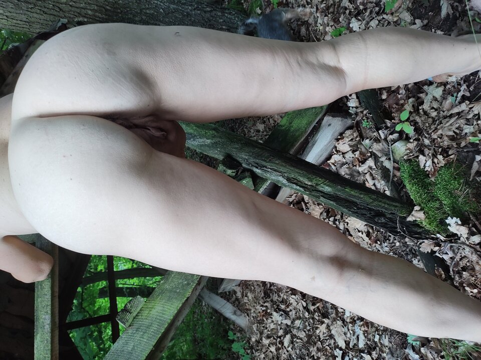 IMG_20210710_151547981.jpg - Stefan11111