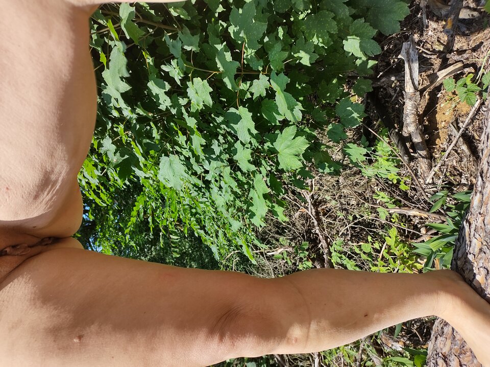 IMG_20210710_153126418_HDR.jpg - Stefan11111