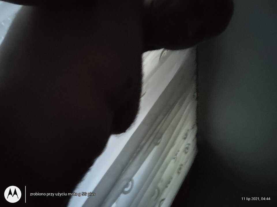 IMG_20210711_044406775_HDR.jpg - on40szukamSwingersuw