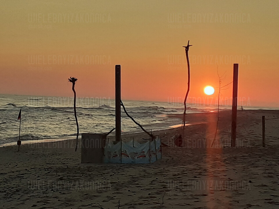 20210711_044040.jpg - WielebnyiZakonnica