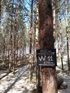 Piaski 11.07.2021.jpg