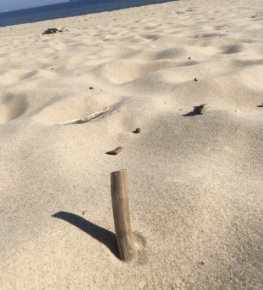 592C08B1-5F5C-4D84-AB84-4C1B82320CCC.jpeg - frescoPomorskie