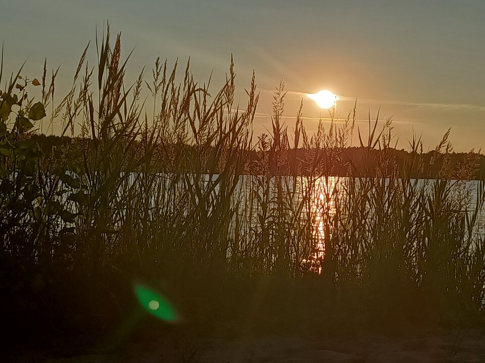 slonce.jpg - SensualnieEvuJon