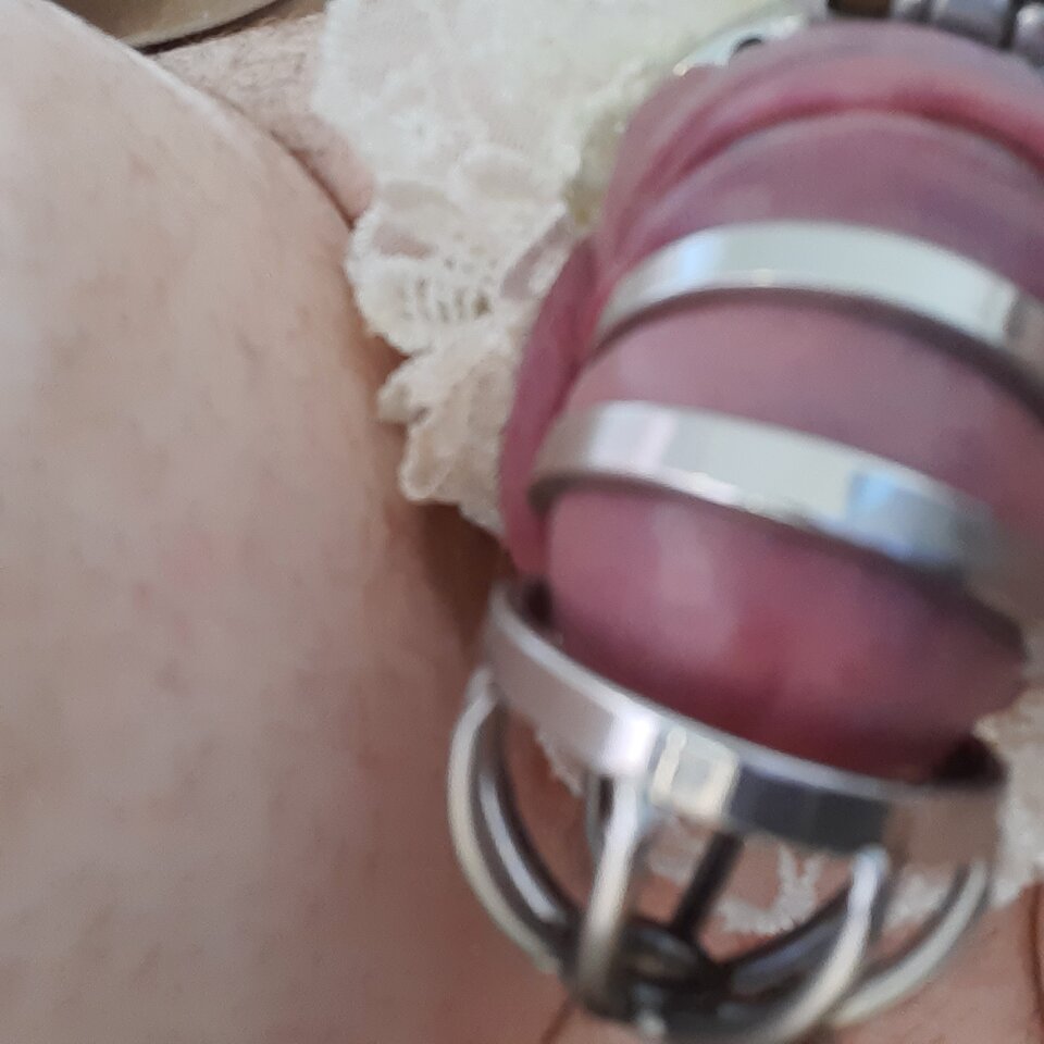 16259969030561748854278435883829.jpg - Palciusia