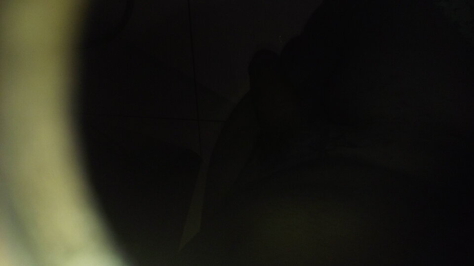 20210711_165840.jpg - premier4442