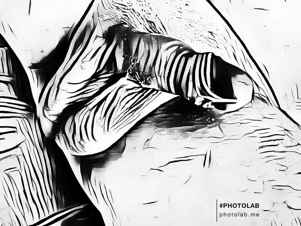 c1ac63a3-5b70-43c9-8c3e-a6121742d9ae.jpg - dino8