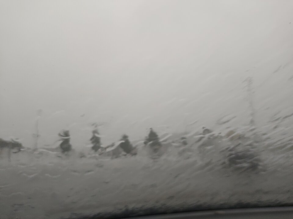 IMG_20210709_060543252.jpg - Paolo67