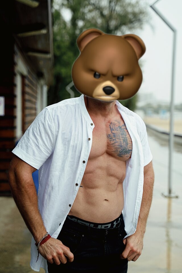 BearWhite.jpg - bearbunny