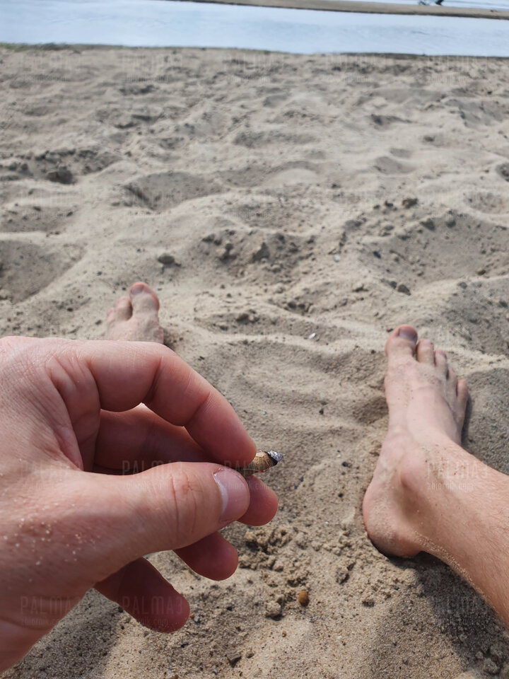 chill na plaży - palma3