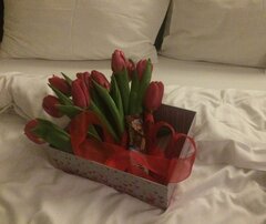 IMG_20200607_162926.jpg