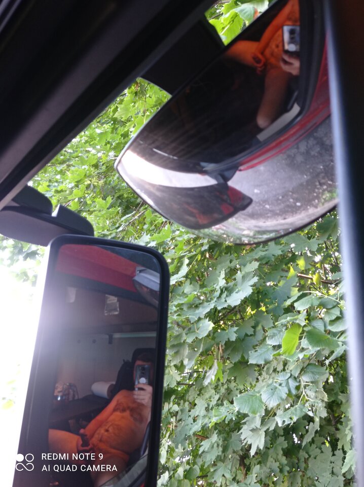 IMG_20210712_185636.jpg - pekabe