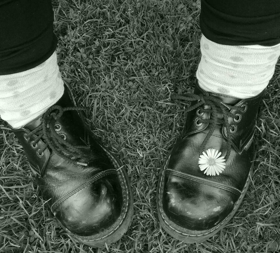 Glany i stokrotka - PulchnaKluseczka