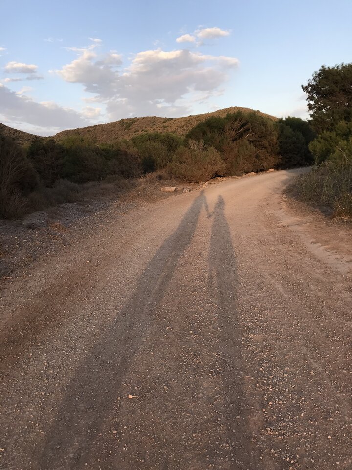 Monsieur - Bezpardonowa