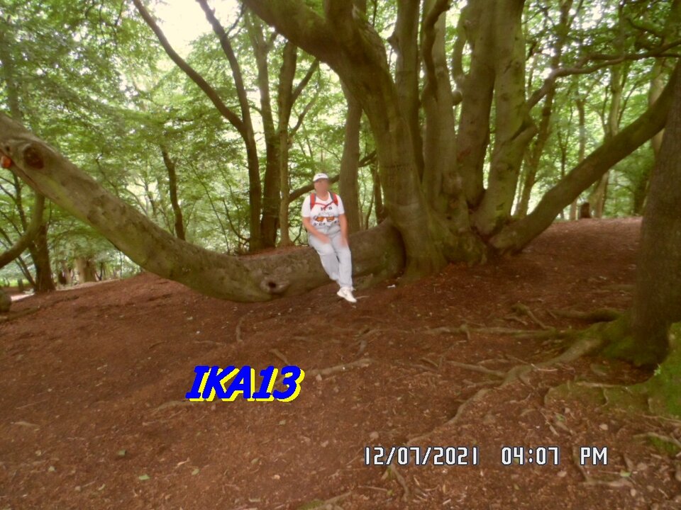 SAM_3601.JPG - ika13