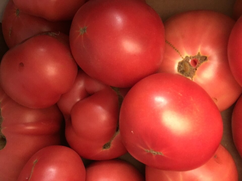 image.jpg - Bogo1986