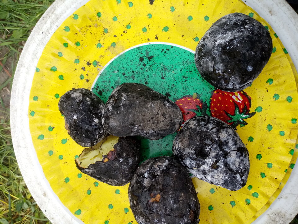 20200504_132622.jpg - migotka321