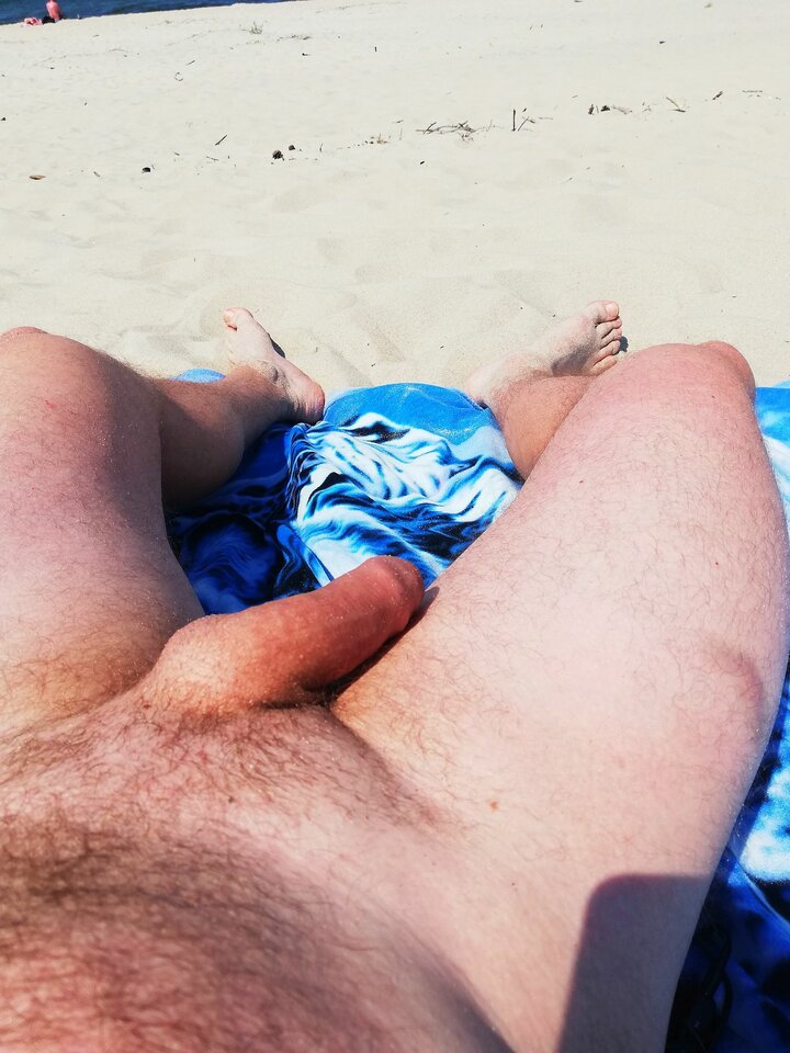 saguaro14.jpg - saguaro87