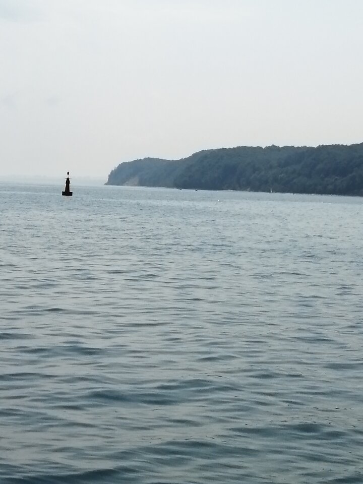 IMG_20210713_123136.jpg - Frelka_ze_wsi