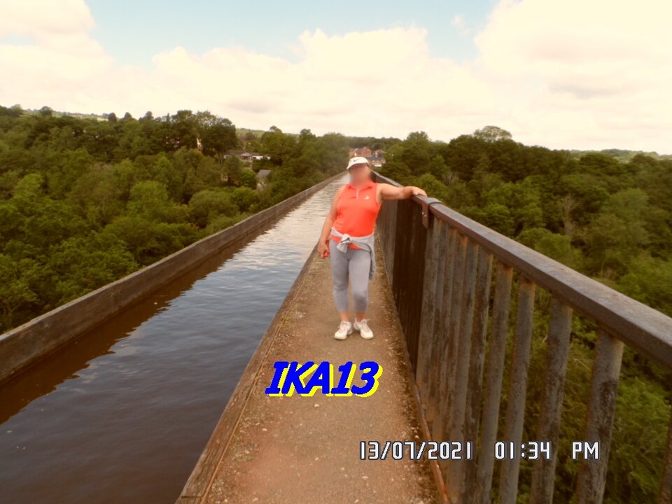 SAM_3609.JPG - ika13