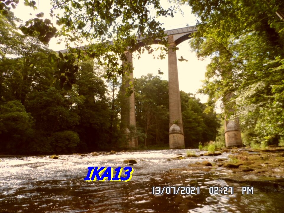 SAM_3612_1.JPG - ika13