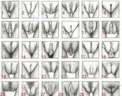 A jaki ty masz numerek 😈