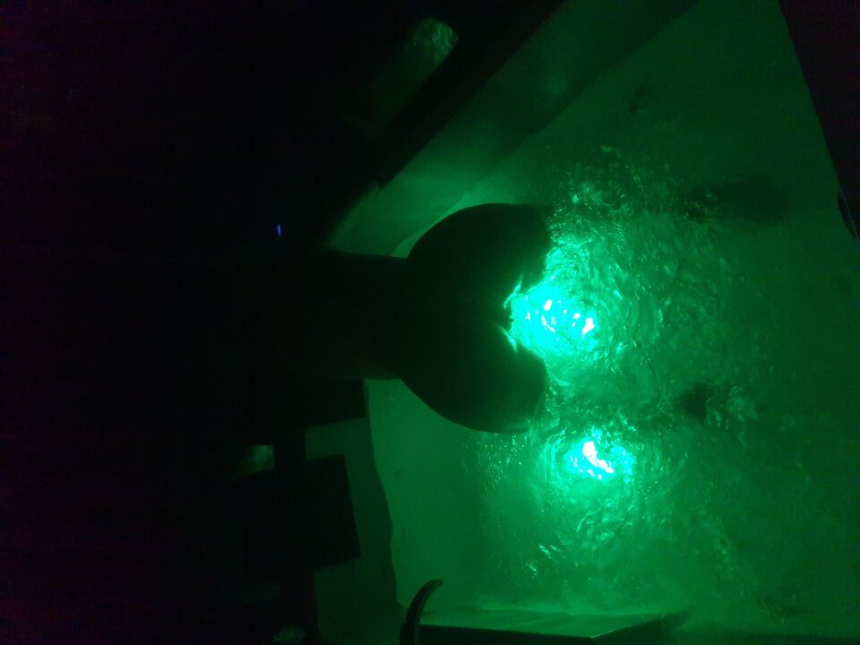 20210711_013332.jpg - Parapod8691