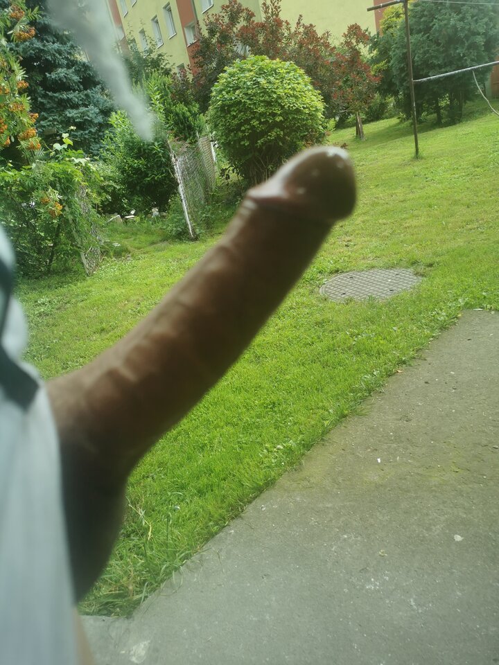 16263378677888189413822919784931.jpg - DonMedro