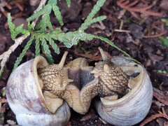IMG_20210715_101111.jpg