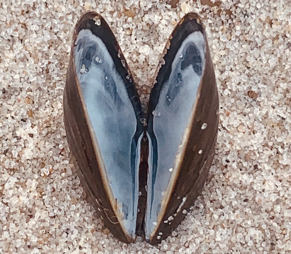 DF9C16EF-D24A-4730-A517-7F7A976CC6B8.jpeg - NaturystaXXX