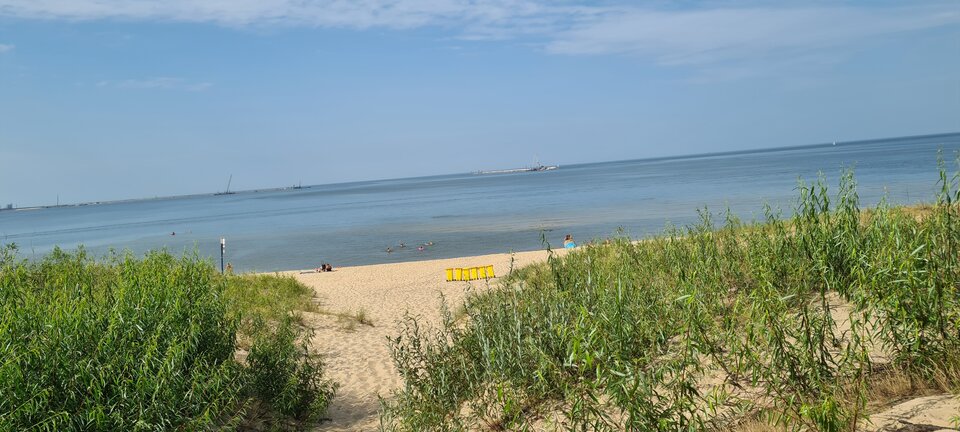 20210715_155926.jpg - maciek9877