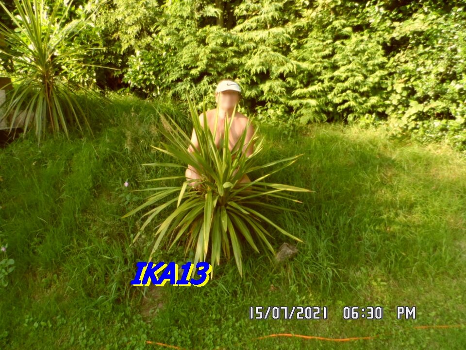 SAM_3624.JPG - ika13