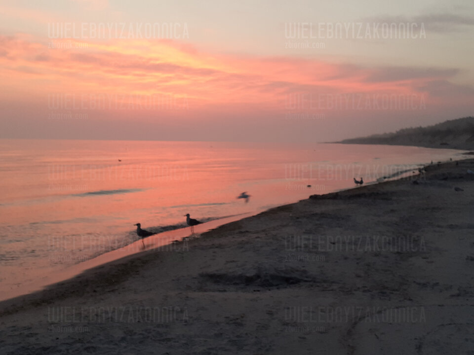 20210716_042018.jpg - WielebnyiZakonnica