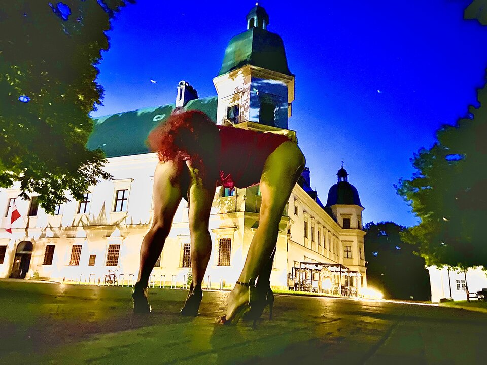 Ujazdowski.jpeg - MrMaxPervandDaughter