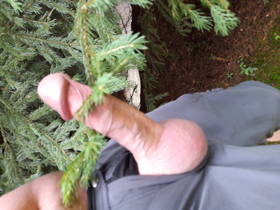 20210716_164817.jpg - hej34