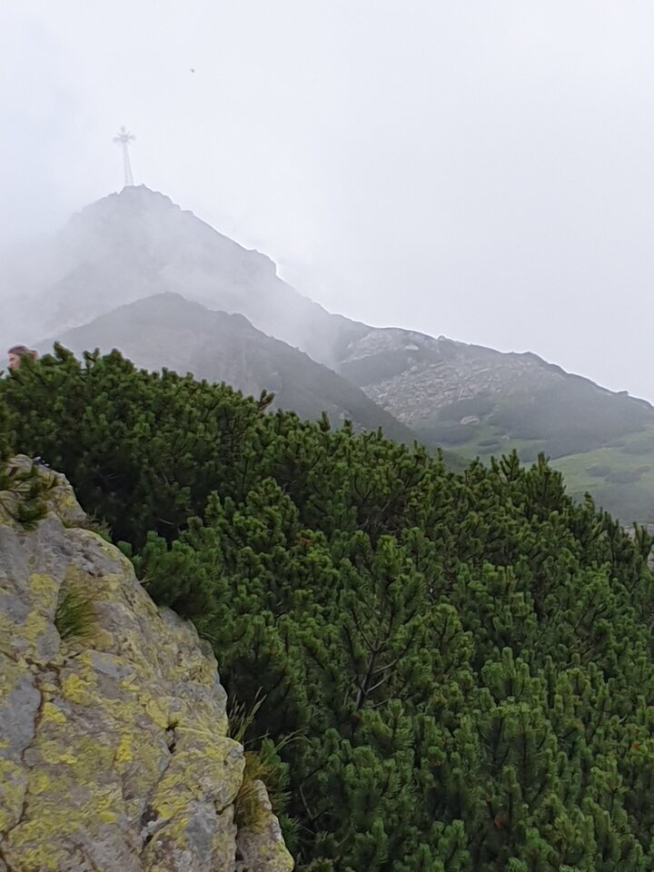 20210716_105810.jpg - ZakazanaStrefa