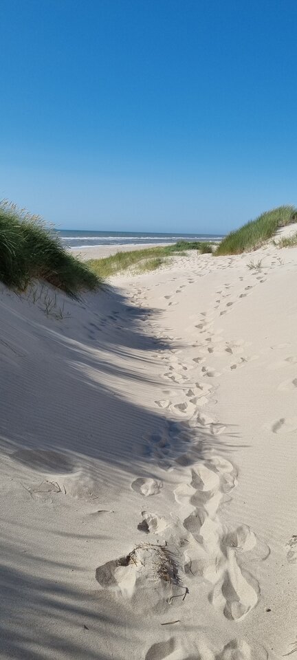 20210716_171913.jpg - mikolaj2012