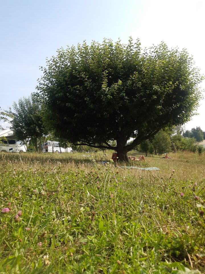 20210717_165950.jpg - percia2505