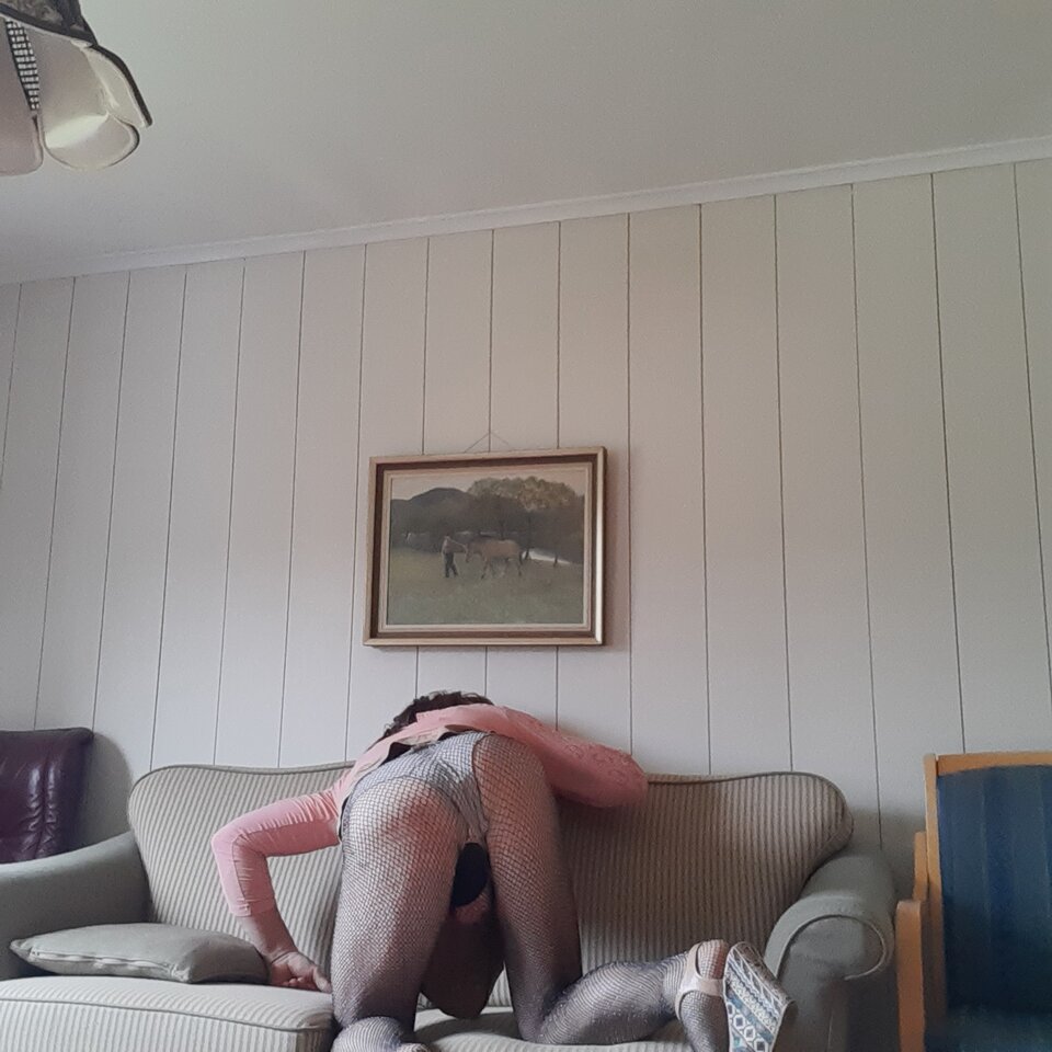 16265420149766519554764735347511.jpg - Palciusia