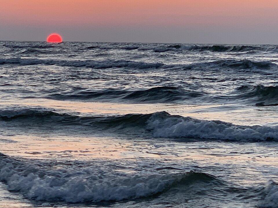 59D2AC49-FC3A-46A1-A20A-FD9A583BE018.jpeg - moby_dick