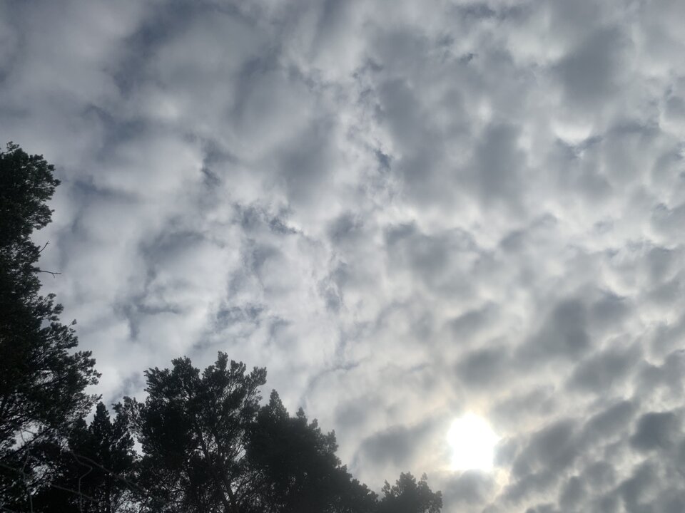 99A81C33-EBA3-411B-A130-FDF74B804106.jpeg - moby_dick