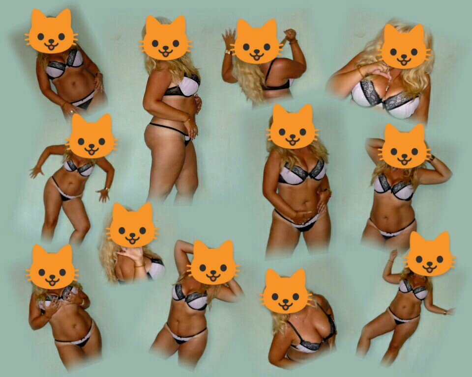 🐱 - Collettes