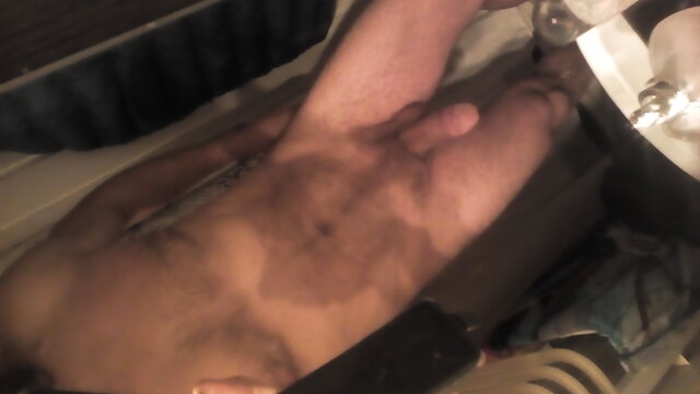 wertis7
