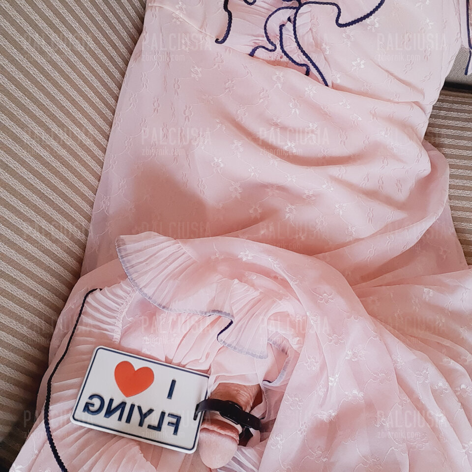 16265907317714298901135124443479.jpg - Palciusia