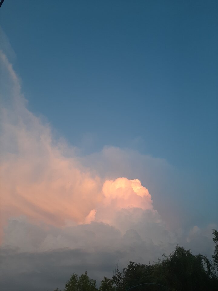 20210717_210051.jpg - Krzyszto1234